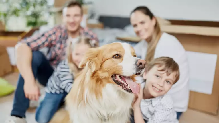 Eine Familie bestehend aus Vater Mutter Tochter und Sohn sitzen auf dem Boden zuhause mit ihrem Hund und warten auf den Hausbesuch vom Tierarzt